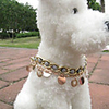 Elisa Pearl Necklace for Dogs (S-L)