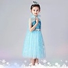 Elsa Dress Masquerade Flower Girl Dress Girls