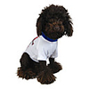England National Football Shirt for Dogs (XS-XXL)