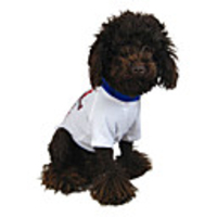 England National Football Shirt for Dogs (XS-XXL)