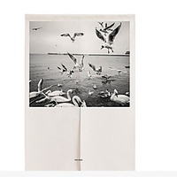 Ethnic Ink Flower Bird Cotton Linen Door Curtain Nordic Style Entrance Partition Curtain Fabric Curtain miniinthebox