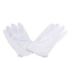 Eviteo-clear Professional Cleaning Gloves