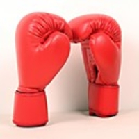 Exercise Gloves / Boxing Bag Gloves / Boxing Training Gloves For Boxing,  Leisure Sports,  Fitness,  Muay Thai Full Finger Gloves Waterproof,  Stretchy,  Protective PU(Polyurethane) Red / Blue