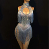Exotic Dancewear Leotard / Onesie Glitter Tassel Women