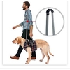 Extra Supportive Dog Canine Rear Leg Hock Joint Wrap Protects Wounds as They Heal Compression Brace Heals and Prevents Injuries and Sprains Helps Arthritis miniinthebox