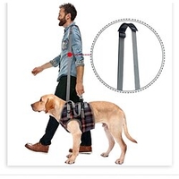 Extra Supportive Dog Canine Rear Leg Hock Joint Wrap Protects Wounds as They Heal Compression Brace Heals and Prevents Injuries and Sprains Helps Arthritis miniinthebox