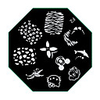 F2 Stamping Series Nail Art Image Stamp Template Plate 1