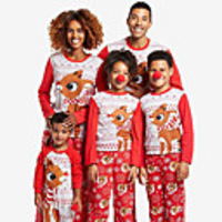 Family Look Animal Print Long Sleeve Regular Regular Clothing Set Red