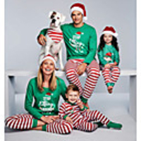Family Look Basic Striped Graphic Letter Long Sleeve Regular Regular Clothing Set Green