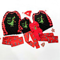 Family Look Dinosaur Animal Letter Print Long Sleeve Regular Regular Clothing Set White