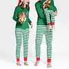 Family Look Graphic Animal Print Long Sleeve Regular Regular Clothing Set Green