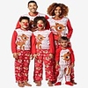 Family Look Graphic Animal Print Long Sleeve Regular Regular Clothing Set Red