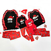 Family Look Santa Claus Graphic Letter Print Long Sleeve Regular Regular Clothing Set Red