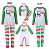 Family Look Striped Animal Letter Print Long Sleeve Regular Regular Clothing Set Green
