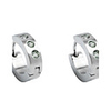 Fashion Titanium Steel With CZ Cubic Zirconia Earrings (ESS12)