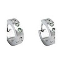 Fashion Titanium Steel With CZ Cubic Zirconia Earrings (ESS12)