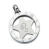 Fashion Titanium Steel Zodiac Leo Necklace (PSS23)