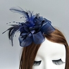Feather / Net Fascinators / Flowers / Hats with Feathers / Fur / Floral 1pc Special Occasion / Horse Race / Ladies Day Headpiece miniinthebox