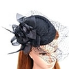 Feather / Net Fascinators / Hats with Feathers / Fur 1pc Wedding / Special Occasion / Horse Race Headpiece