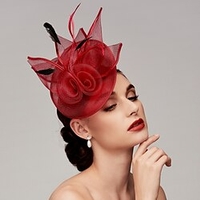 Feather / Net Kentucky Derby Hat / Fascinators / Headpiece with Feather / Floral / Flower 1pc Wedding / Horse Race / Ladies Day Headpiece miniinthebox