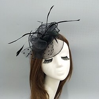 Feathers / Net Fascinators / Hats / Headwear with Feather / Ruching / Polka Dot 1 PC Wedding / Special Occasion / Ladies Day Headpiece miniinthebox