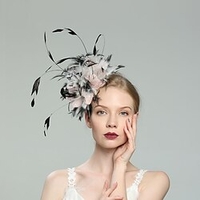 Feathers Fascinators with Feather 1pc Wedding / Special Occasion / Ladies Day Headpiece miniinthebox