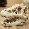 Fish Tank Aquarium Decoration Home Decoration Fish Bowl Background Ornament Dinosaur Beige Non-toxic Tasteless Decoration Resin 1 8.55.54.5 cm