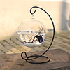 Fish Tank Fish Bowl Ornament Black Glass 1 pc