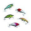 Fishing Lure MINNOW-50MM 5G Hard Bait(5-piece pack)