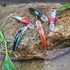 Fishing Lure MINNOW-60MM 6G Hard Bait (5-piece pack)