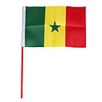 Flag of Cameroon - Large 21.5-cm Size