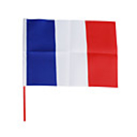 Flag of France- Large 28.5-cm