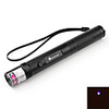 Flashlight-Shape Blue Laser Pointer with Batteries (5mw, 405nm, Black)