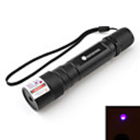 Flashlight Shaped Blue Laser Pointer with Battery (5mw, 405nm, Black)
