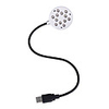 Flexible Neck USB Powered 12-LED Bright White Light for Laptop