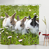Flower Bunny Digital Printing Shower Curtain Shower Curtains Hooks Modern Polyester New Design