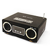 FM Radio Card Reader Speaker