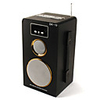 FM Radio Card Reader Speaker