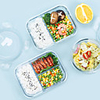 Food Container Lunch Box Rectangular Heat Resistant with Lid Storage Box Offered