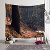 Forest Leaves Fall Wall Tapestry Art Decor Blanket Curtain Hanging Home Bedroom Living Room Decoration Polyester miniinthebox