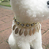 Forest Leaves Pearl Necklace for Dogs (S-L,  Assorted Colors)