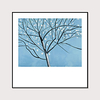 Framed Art Print Abstract Hand - Drawn Painting Flowers Plants And Branches Wall Art Modern Home Decoration Ready To Hang