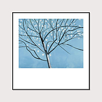 Framed Art Print Abstract Hand - Drawn Painting Flowers Plants And Branches Wall Art Modern Home Decoration Ready To Hang