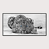 Framed Art Print Framed Set - Animals PS Illustration Wall Art