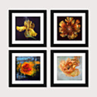 Framed Art Print Framed Set 4 - American Idyllic Adornment Picture French Country Brief Beautiful Dining-Room Mural Porch Bedroom Head of a Bed Flower Hangs Picture PS Illustration Wall Art