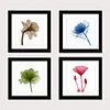 Framed Art Print Framed Set 4 Blue Abstract Flower PS Illustration Wall Art Ready To Hang