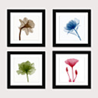 Framed Art Print Framed Set 4 Blue Abstract Flower PS Illustration Wall Art Ready To Hang