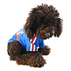 France National Football Shirt for Dogs (XS-XXL)