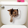 Fridge Stickers Toilet Stickers - Animal Wall Stickers Animals 3D Living Room Bedroom Bathroom Kitchen Dining Room Study Room / Office
