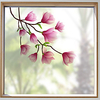 Frosted Privacy Dream Flower Pattern Window Film Home Bedroom Bathroom Glass Window Film Stickers Self Adhesive Sticker 58 X 60cm Wall Stickers For Bedroom Living Room miniinthebox